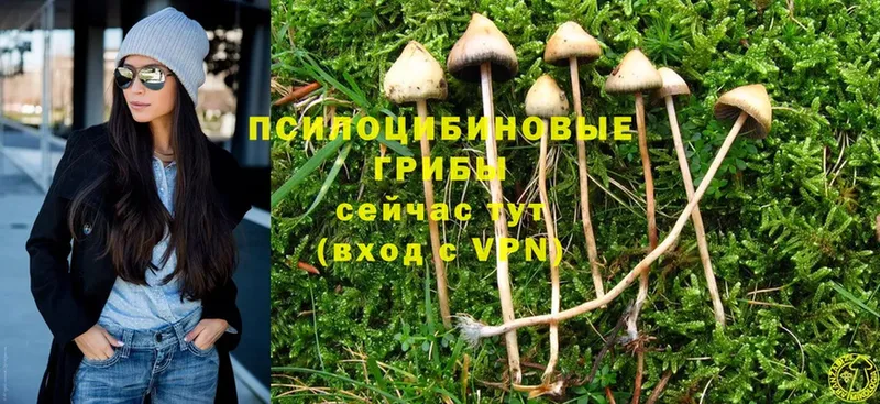 Галлюциногенные грибы Magic Shrooms  Топки 